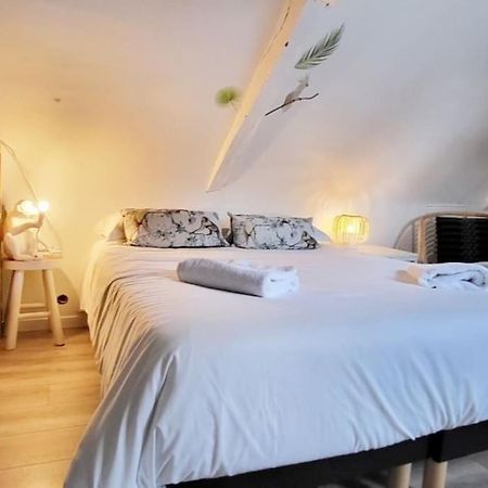 La Cabane - Petit Studio Mansarde - Plage 50M - Rue Gratuite Saint-Malo Dış mekan fotoğraf