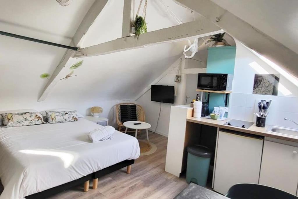 La Cabane - Petit Studio Mansarde - Plage 50M - Rue Gratuite Saint-Malo Dış mekan fotoğraf