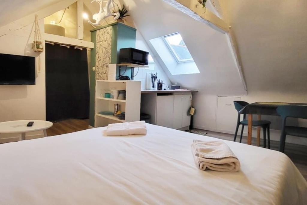 La Cabane - Petit Studio Mansarde - Plage 50M - Rue Gratuite Saint-Malo Dış mekan fotoğraf