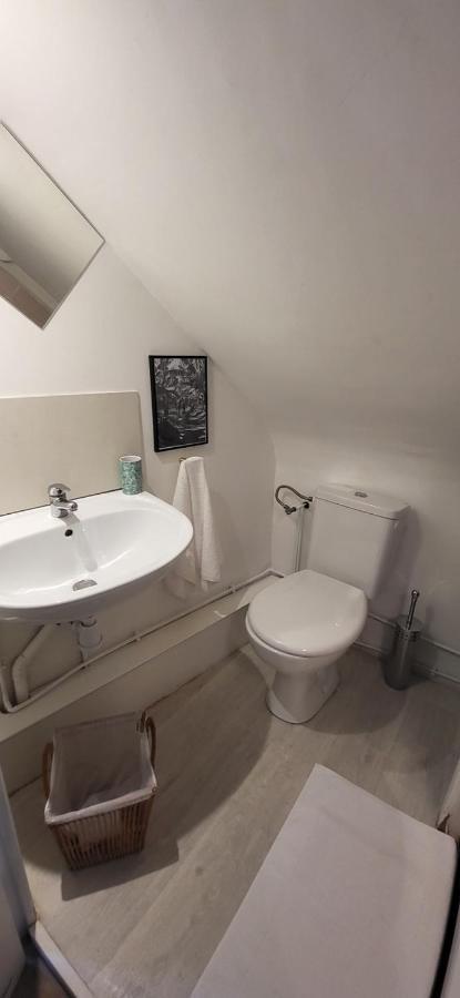 La Cabane - Petit Studio Mansarde - Plage 50M - Rue Gratuite Saint-Malo Dış mekan fotoğraf